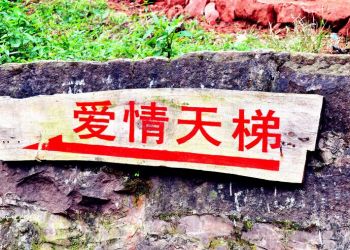 愛情天梯