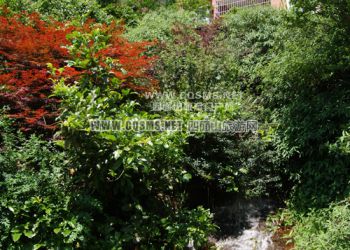 四面山水廠賓館
