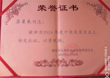榮譽證書