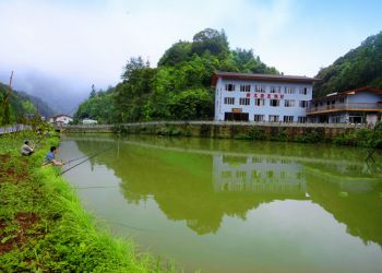 新龍莊度假村 近景
