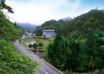 新龍莊度假村 全景