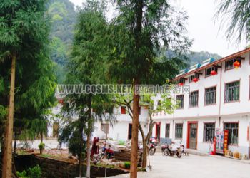四面山農(nóng)家樂(lè) 森林客棧