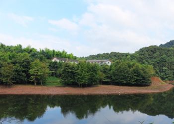 四面山農(nóng)家樂(lè) 君臨驛站