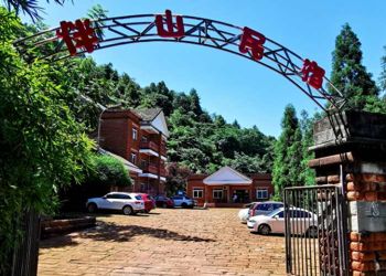四面山農家樂 伴山民宿