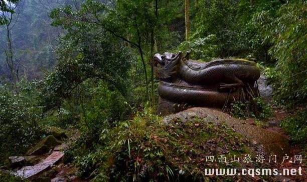 四面山龍潭湖 四面山的龍 盤龍