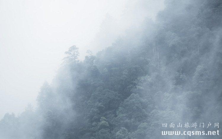 四面山清涼的環境